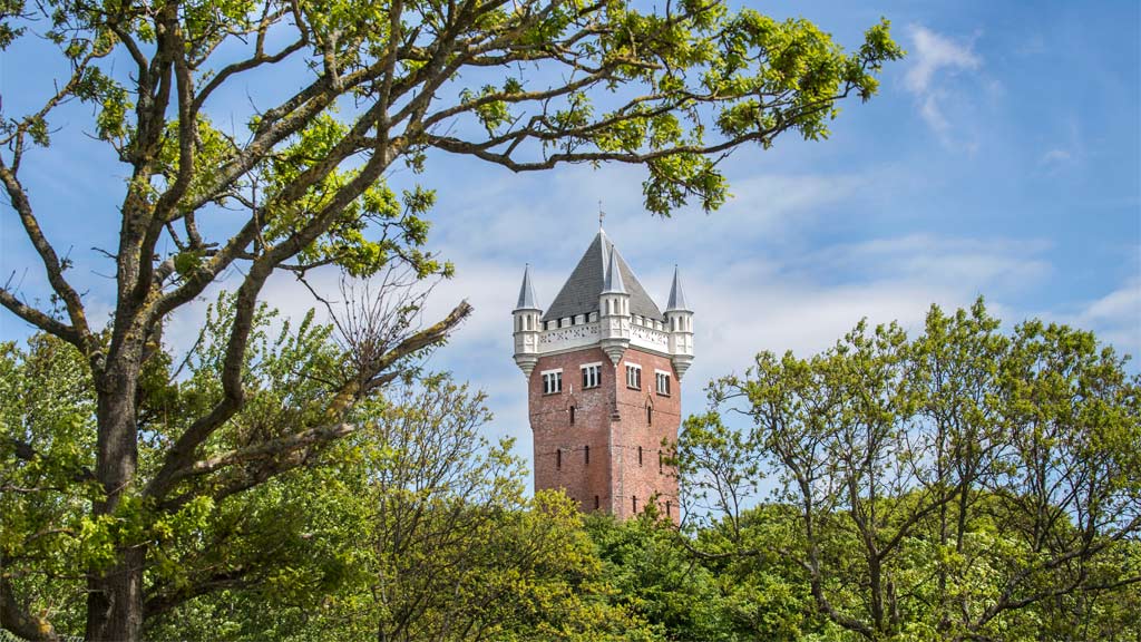 Lokale services i Esbjerg