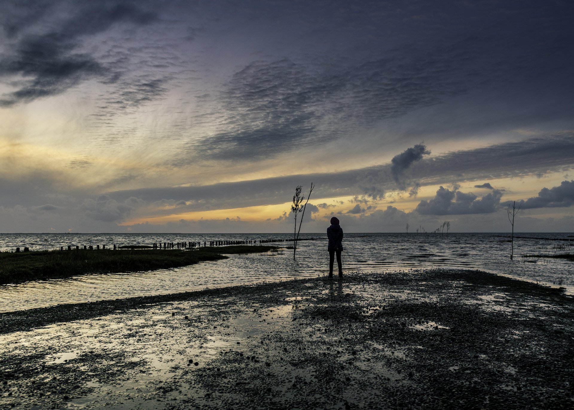 Natur og friluft i Esbjerg